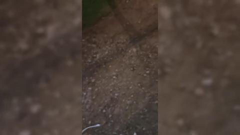Sultry schoolgirl seduces dudes in a forest freak fest: 'Hot chick in the woods'