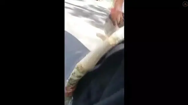 Naughty😈 Nymph 18 Unleashes 17 Orgasms on Ripe Rugged Dingo′s Hard Shaft