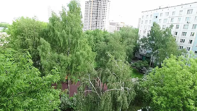 Amateur Teen Cutie Sucking a Cock From Older Man