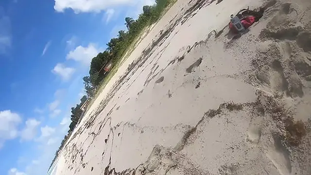 Fucking on a Beach  Darcy Dark