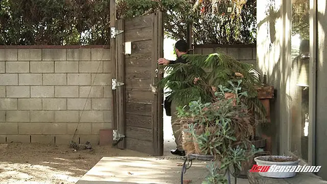 Sweet Summer Snatches a Sneaky Sidelooker for a Snatch of Sneaky Sex