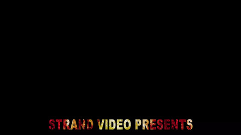 Wild Whores: Unleashed - Season 4