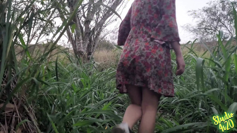 Public Sex on the Bushes
