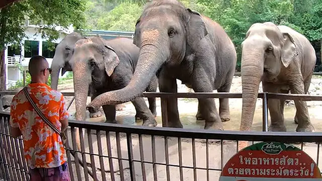 Thai GF′s dirty romp with BF after outdoor adventure &mdash;  sex-filled escapade ensues