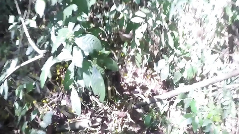 Forest Fuckventure: Finding Rough Terrain Part 1