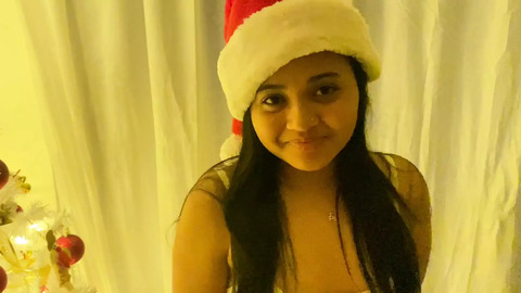 Santa Grants Me His Load As A Yuletide Present