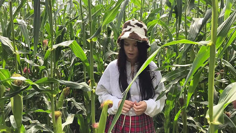 Stolen Goods and Mouthwatering Pleasure in the Field