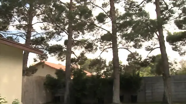 Gorgeous Maddy O′Reilly Gets Rough Spring Break Fuck