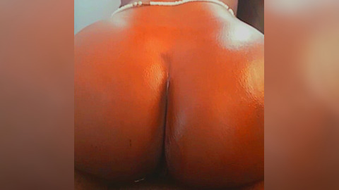Big fat black booty