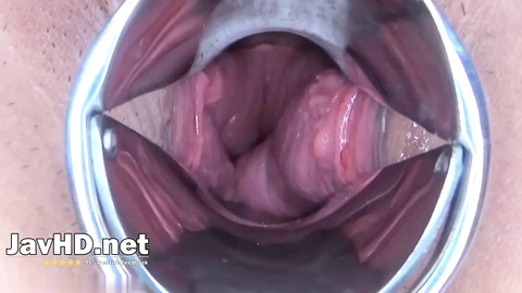 Inspecting Hot Japanese Bitch's Slit: Top Asian XXX Pleasure!