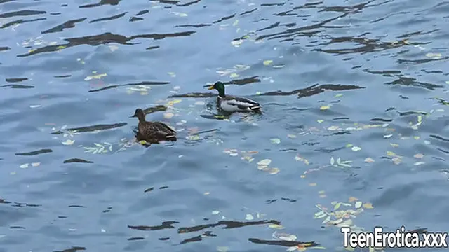 Lustful Young Couple Screwing