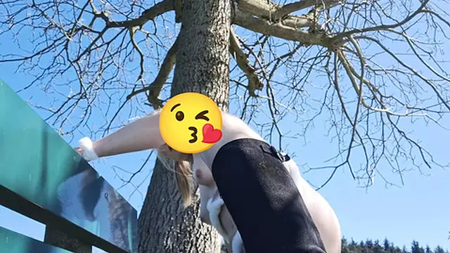 What′s that bunny doing there?