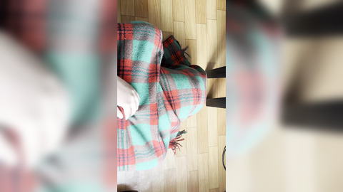 My shy neighbor does cunnilingus under the blanket