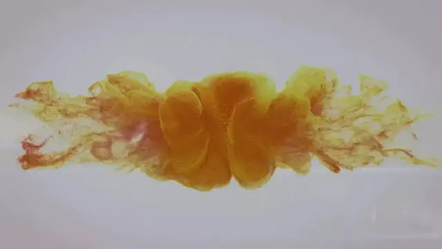 Sponge Soaker by Wet And Pissy