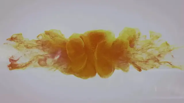 Golden Sofi by VIPissy