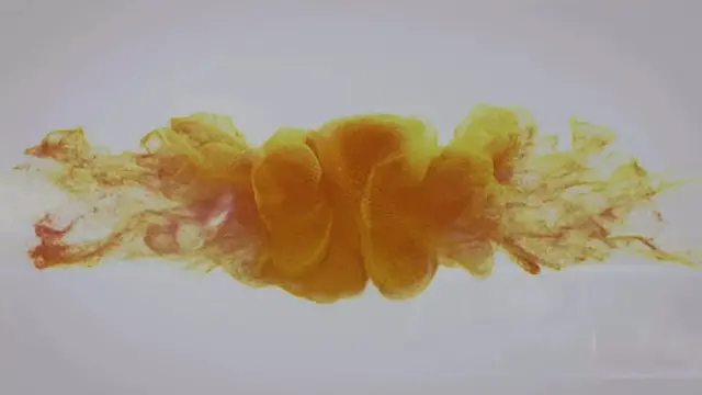 Diving In Golden Piss by Wet And Pissy