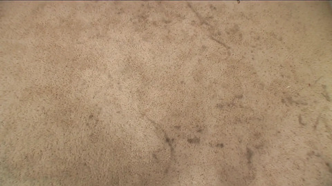 Lesbians Have Sex for the First Time and Lick Each Other's Pussy Wet