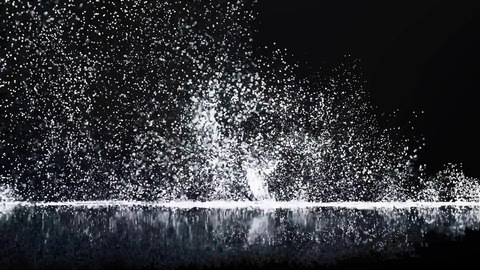 Hollie’s Creamy Confession