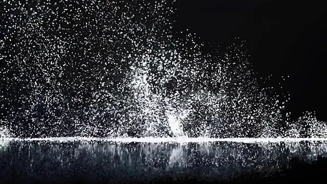 Alina Takes Her Wager to the Next Level