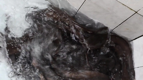 How We Find and Fuck Sluts in Africa