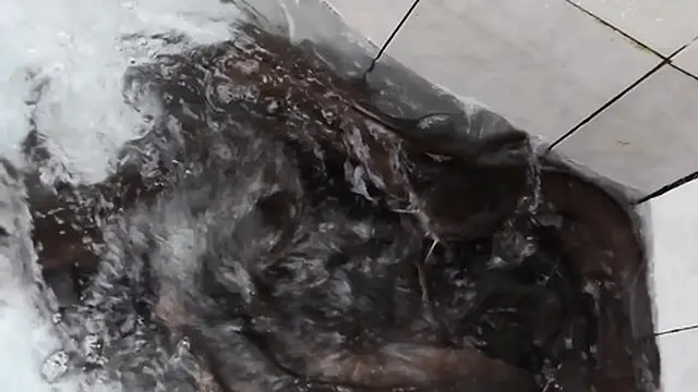 How We Find and Fuck Sluts in Africa