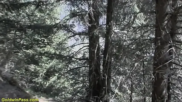 Threesome sex with dirndl girls