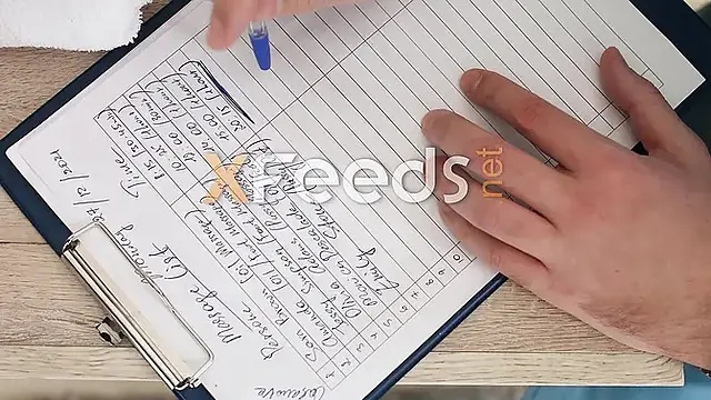 Hot Asian babe gets a massage and a big cock